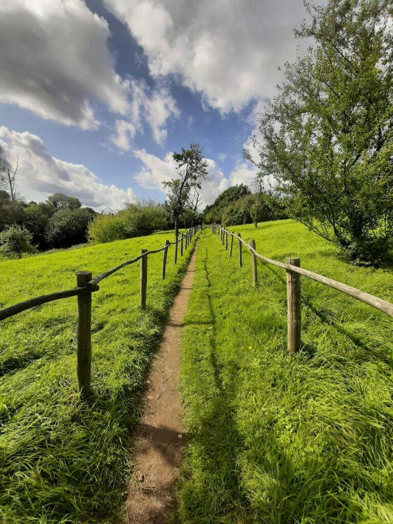 Idyllic footpath through a vibrant green meadow with wooden fence under a bright sky in Tongeren, Belgium.